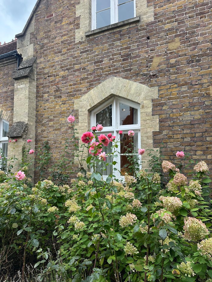 Charming brick house facade with vibrant garden flowers in full bloom.